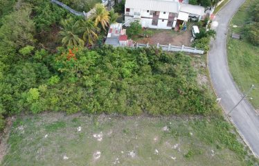 Mount Pleasant, St. Philip, Barbados